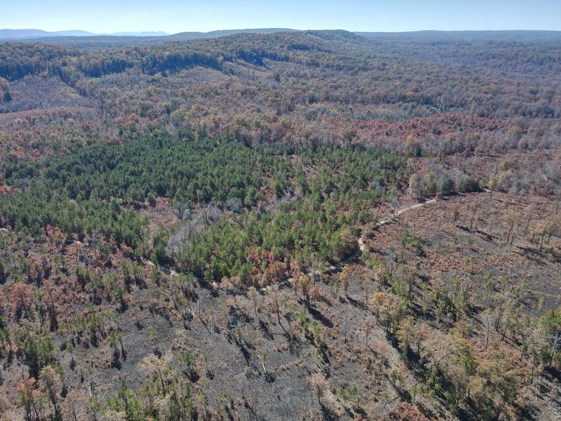 Start at the Edge of Tennessee's Wild Cumberland Plateau