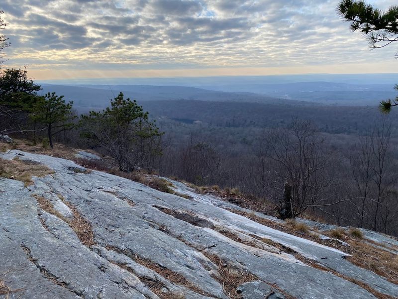 Stokes State Forest Stokes State Forest