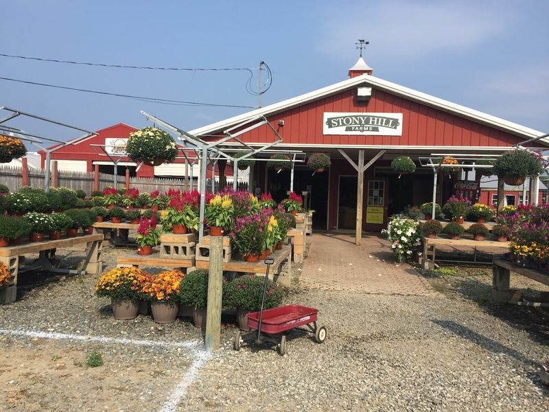 Stony Hill Farms Stony Hill Farms