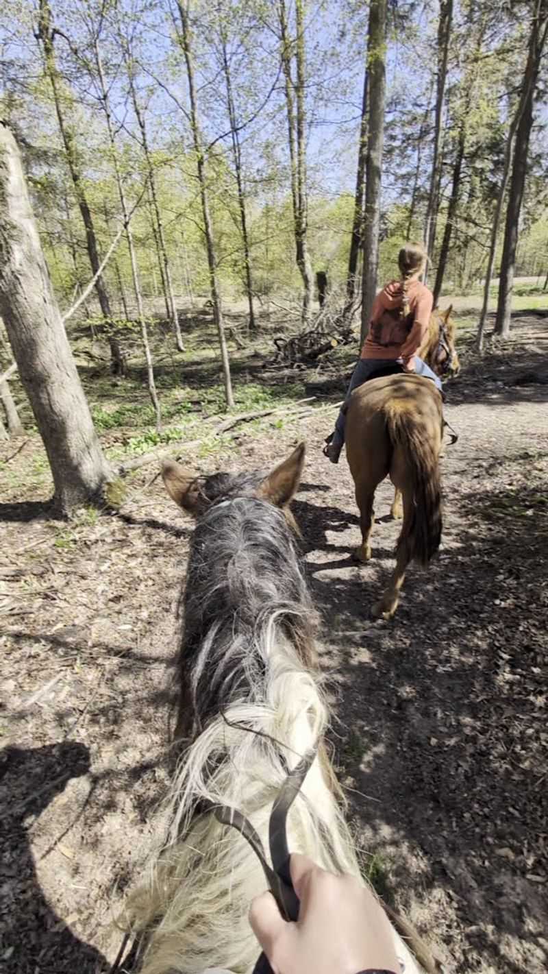 Stony Lake Stables