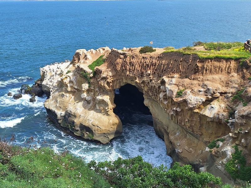 Sunny Jim Sea Cave