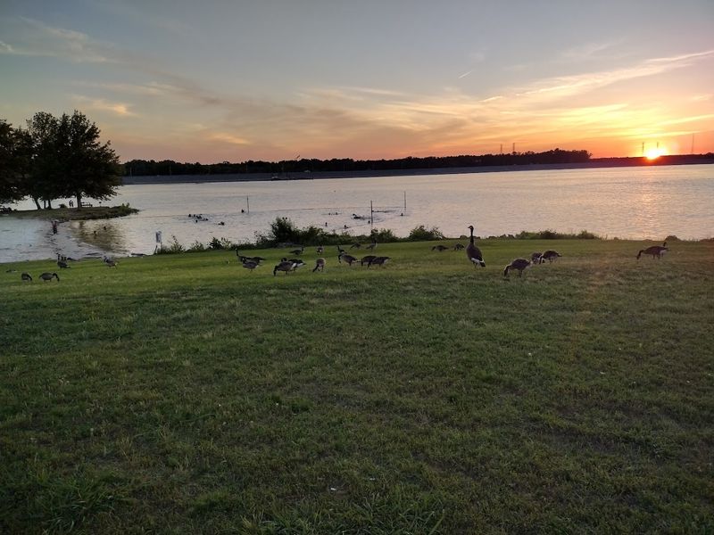 Sunset is where Pickwick turns from pretty to unforgettable Sunset is where Pickwick turns from pretty to unforgettable