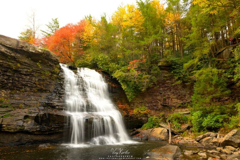 Swallow Falls State Park Swallow Falls State Park