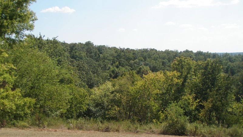 Swan View Overlook — Hohenwald