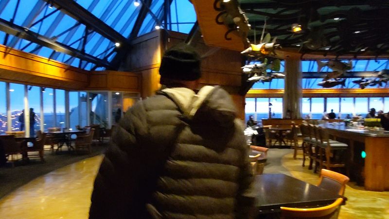 The Sky-High Glass Elevator Journey The Sky-High Glass Elevator Journey