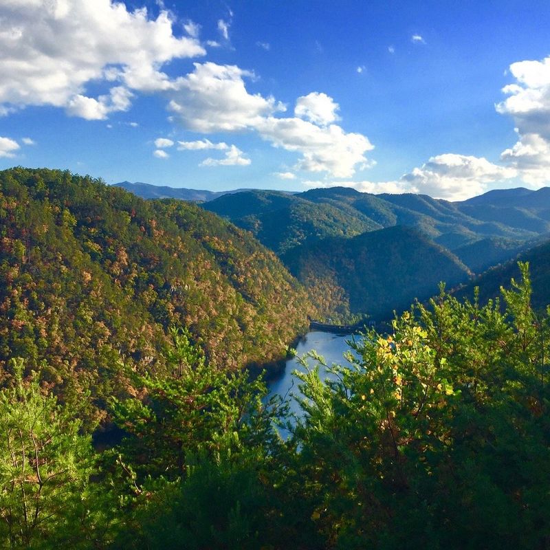 Tail of the Dragon