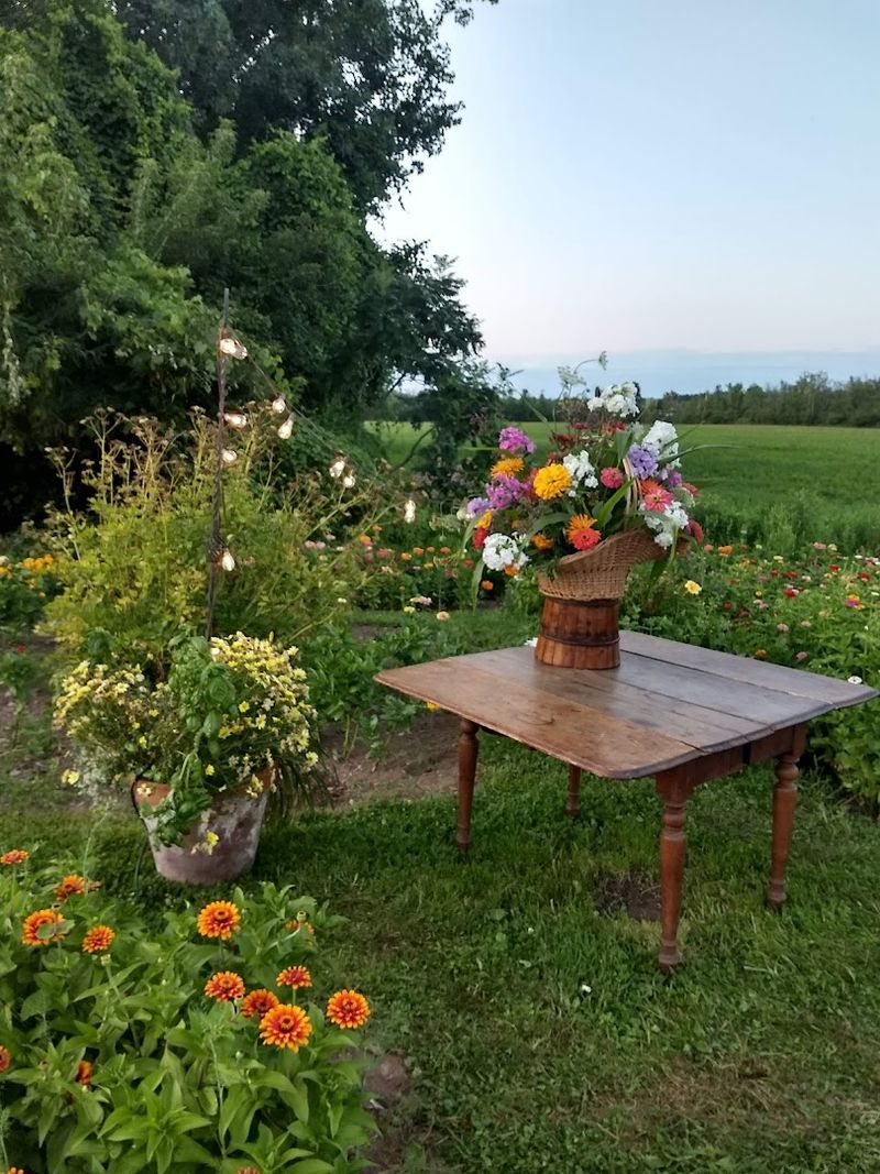 Take Time to Notice the Beauty Beyond the Berry Rows