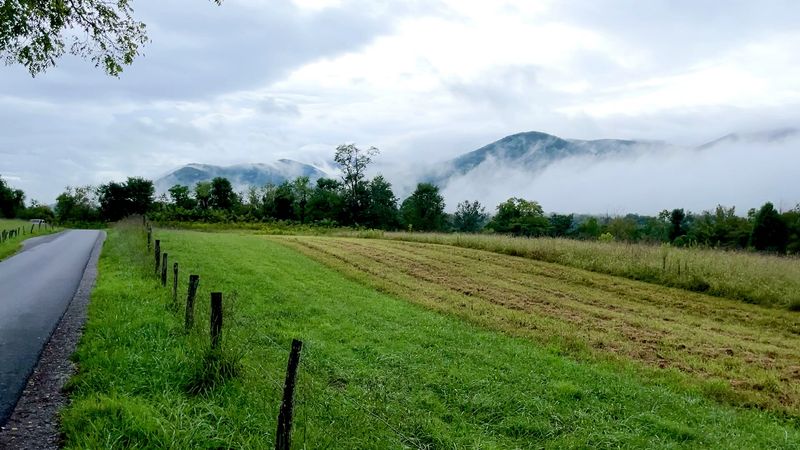 Take a scenic drive through Cades Cove