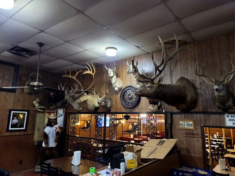 Taxidermy Decor That's Impossible to Ignore Taxidermy Decor That's Impossible to Ignore