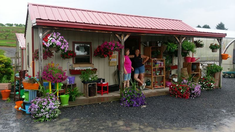 Taylor’s Greenhouse