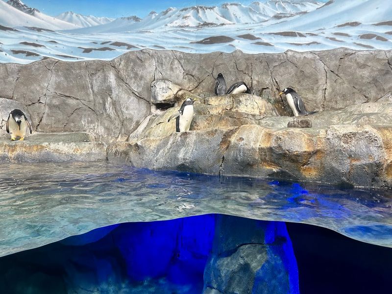 Tennessee Aquarium — Chattanooga Tennessee Aquarium — Chattanooga