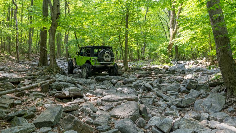 Terrain for beginners, experts, and everyone between Terrain for beginners, experts, and everyone between
