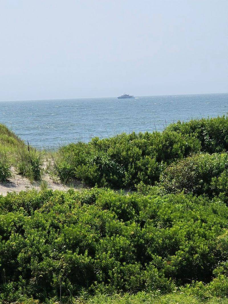 The Beach Gets Wilder and More Beautiful the Farther You Go