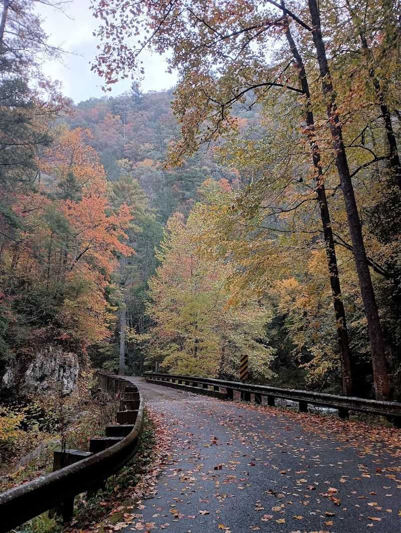 The Best Time To Visit Paint Creek For A Relaxing Mountain Getaway The Best Time To Visit Paint Creek For A Relaxing Mountain Getaway