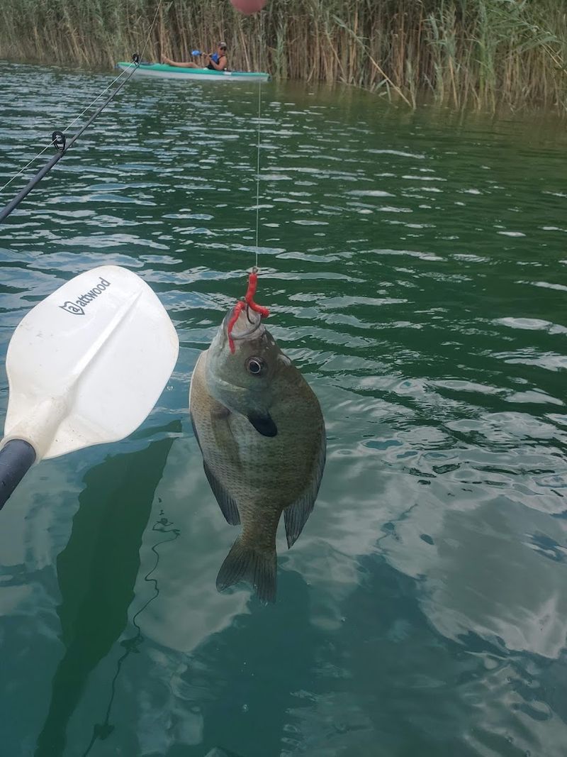 The Best Ways To Experience White Lake Without Hurting It The Best Ways To Experience White Lake Without Hurting It