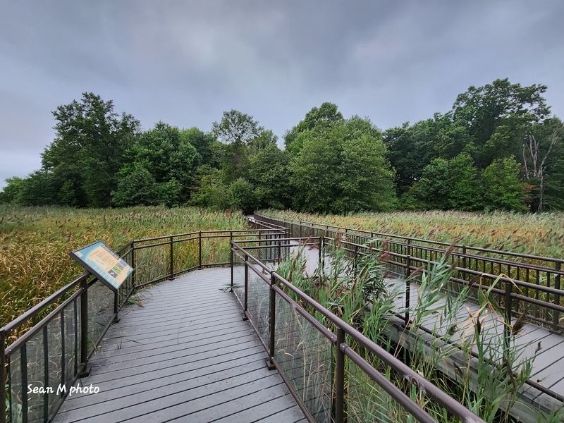 The Boardwalk Trail That Carries You Right Over the Wetlands