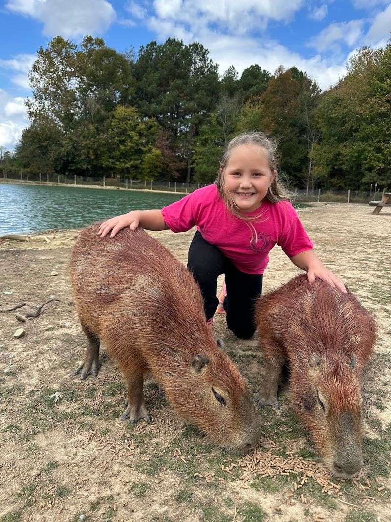 The Capybara Encounter Everyone Talks About