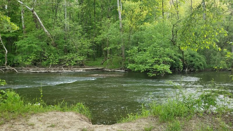 The Clear Fork and Mohican River keep the park feeling alive The Clear Fork and Mohican River keep the park feeling alive