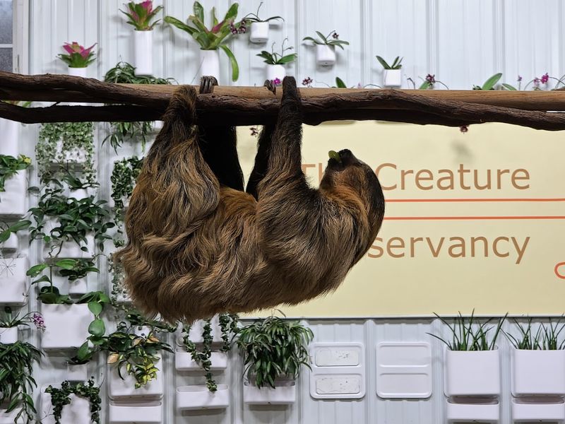 The Creature Conservancy — Ann Arbor