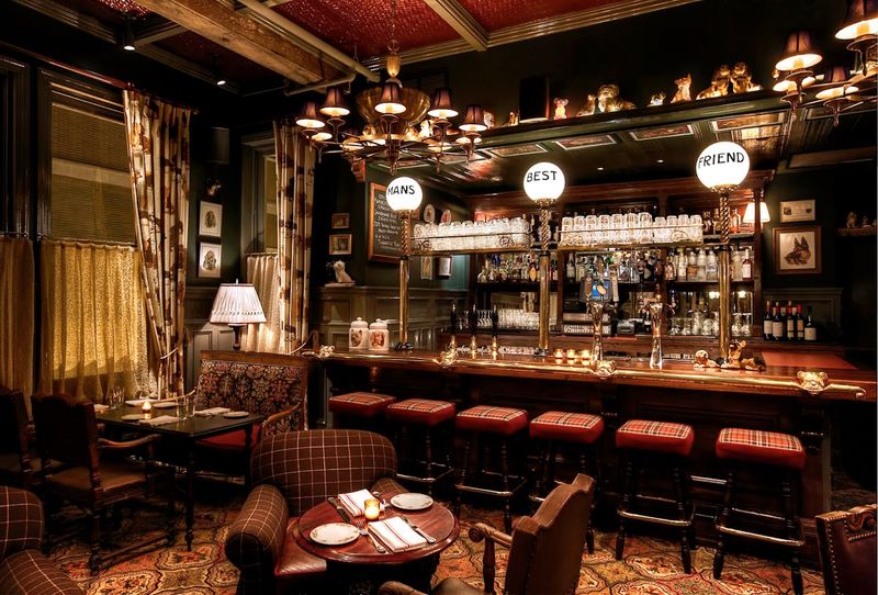 The Dandelion - Philadelphia The Dandelion - Philadelphia