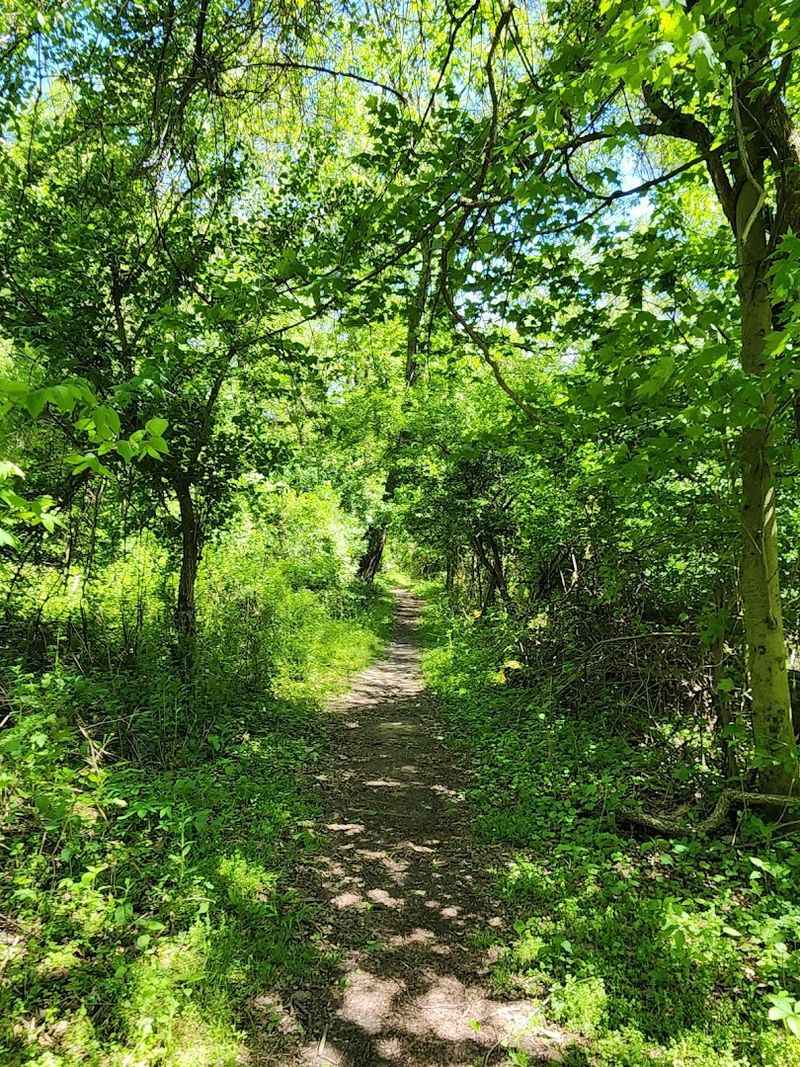The Dirt Trails That Actually Deliver on Their Promise