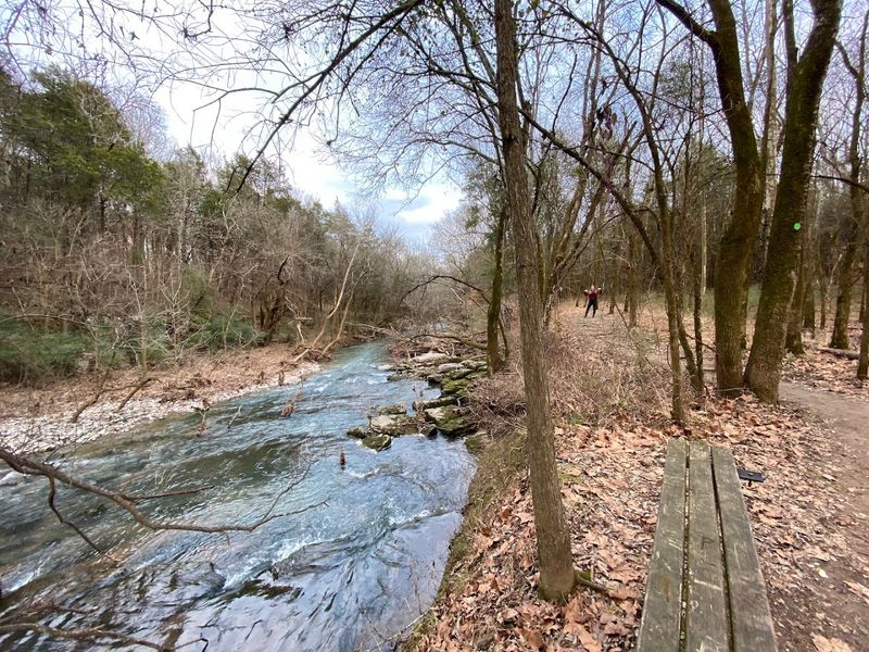 The Duck River Is the Park's Scenic Showstopper