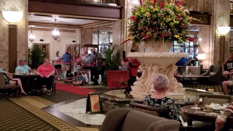 The Duckmaster Who Makes Magic Happen