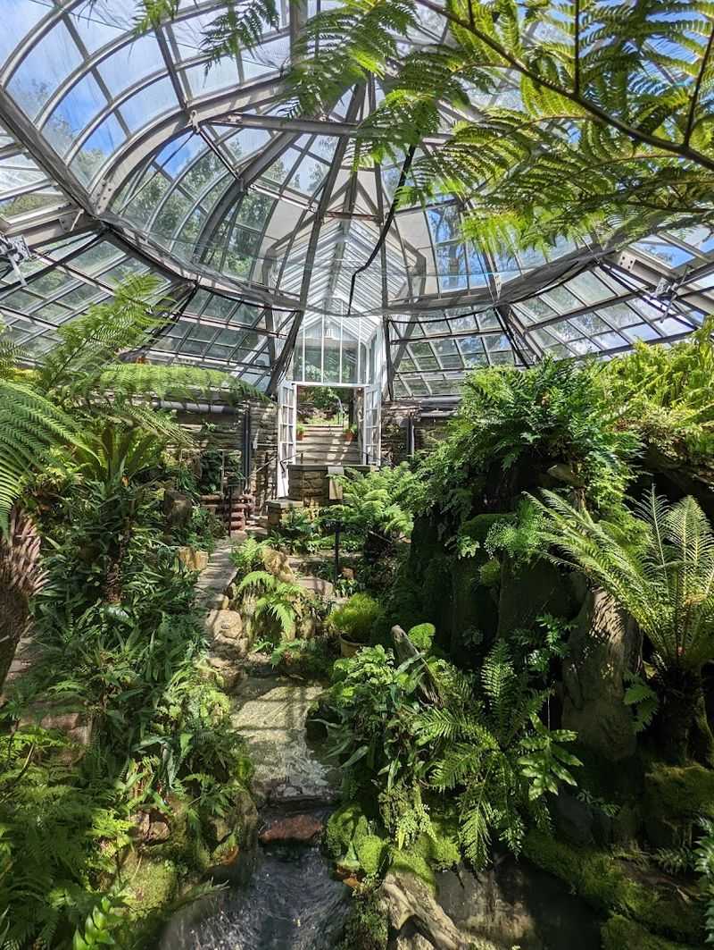 The Fernery is one of the most enchanting corners on the grounds The Fernery is one of the most enchanting corners on the grounds