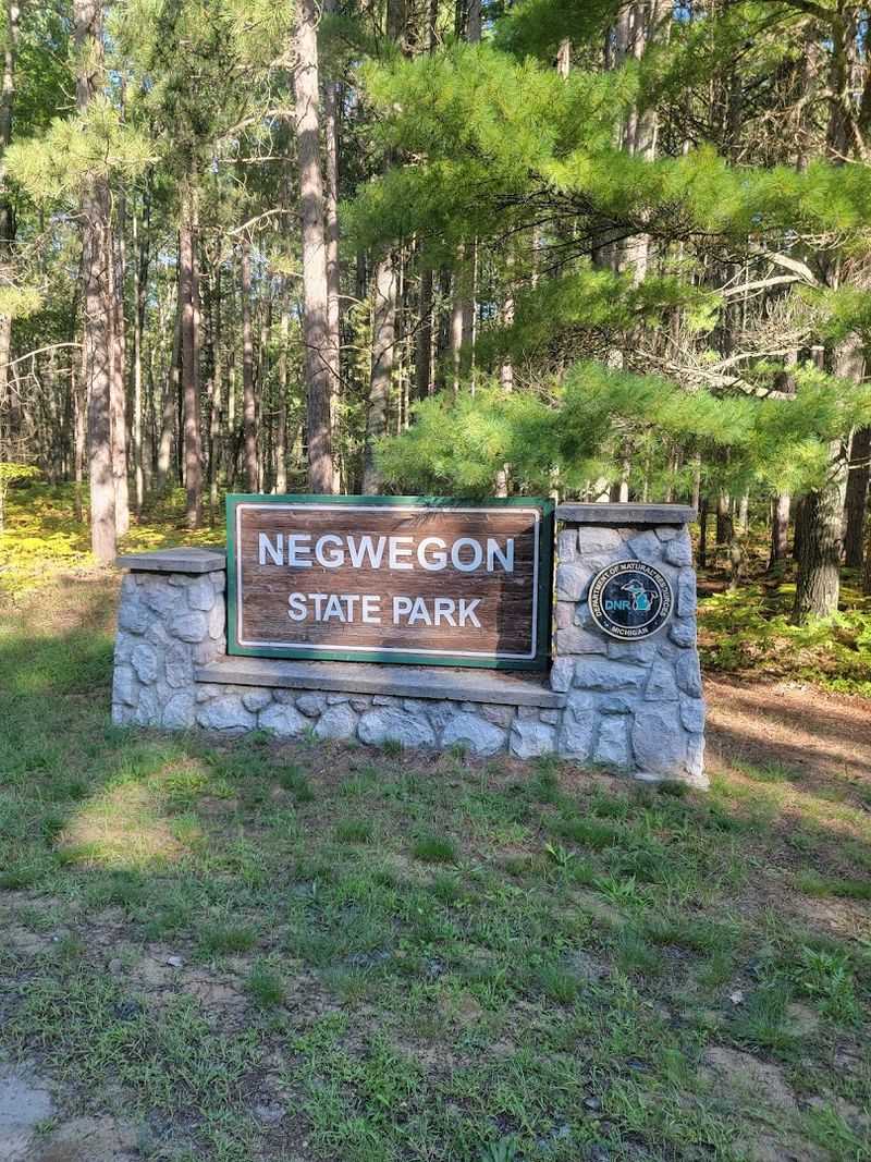 The Friends of Negwegon and Why the Park Stays This Way The Friends of Negwegon and Why the Park Stays This Way
