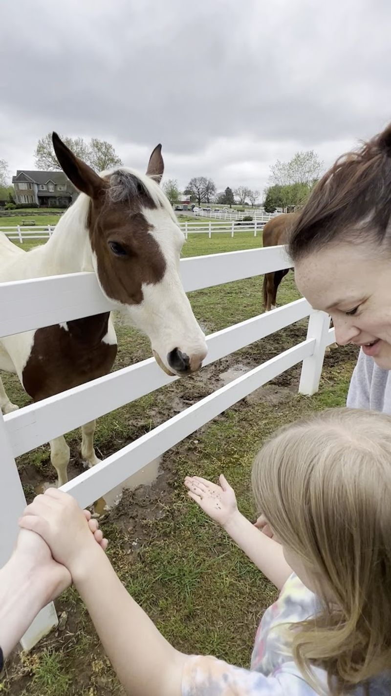 The Gentle Barn Tennessee — Christiana The Gentle Barn Tennessee — Christiana