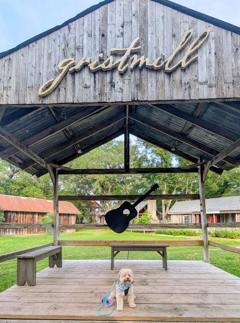 The Gristmill River Restaurant & Bar (Gruene) The Gristmill River Restaurant & Bar (Gruene)