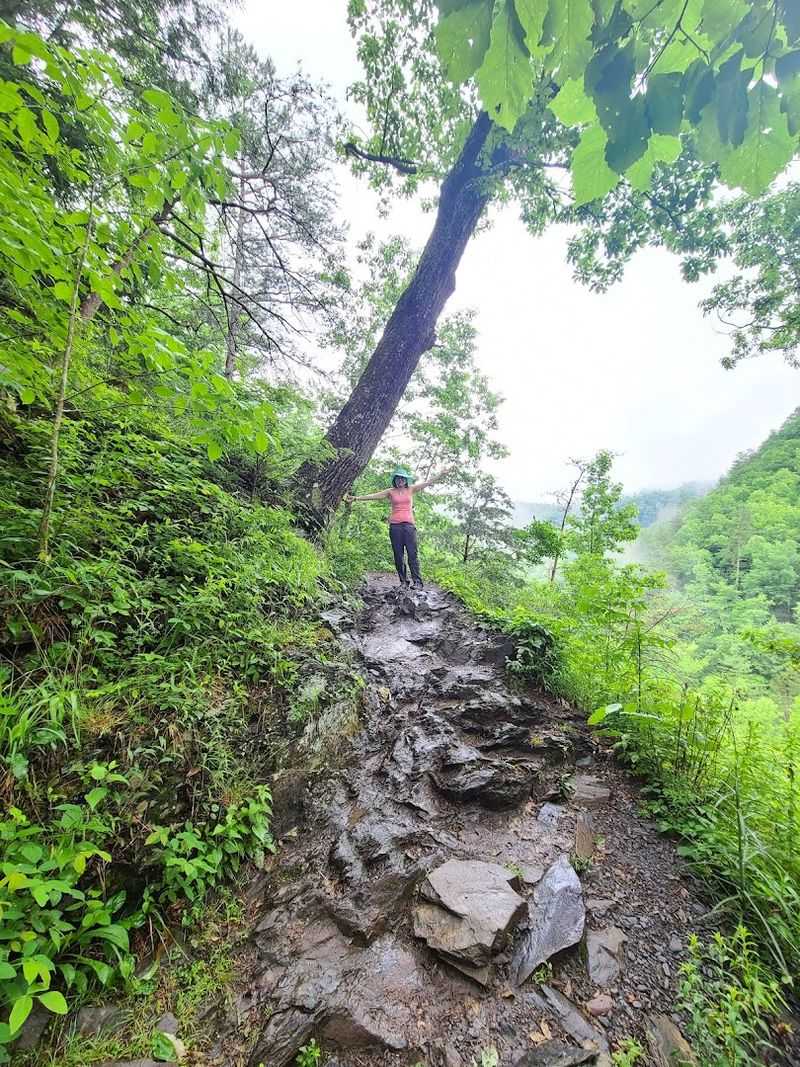 The Half-Day Adventure That Rewards Hikers Who Keep Going The Half-Day Adventure That Rewards Hikers Who Keep Going