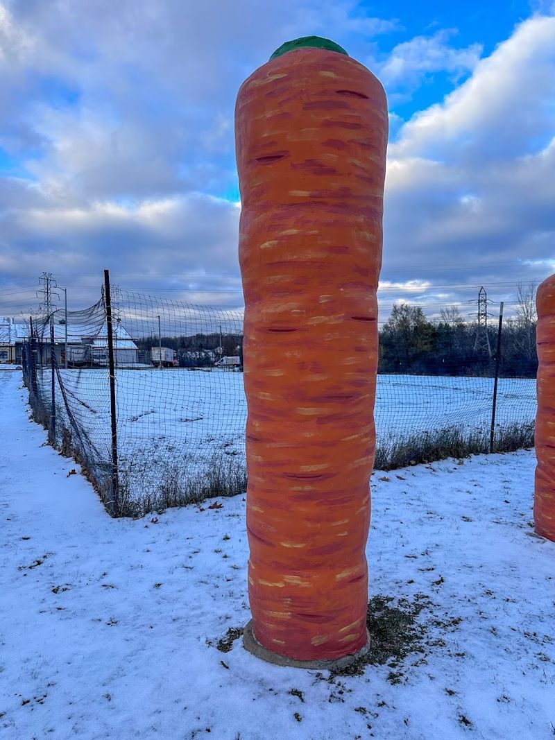 The Heartwarming Symbolism of the Carrot
