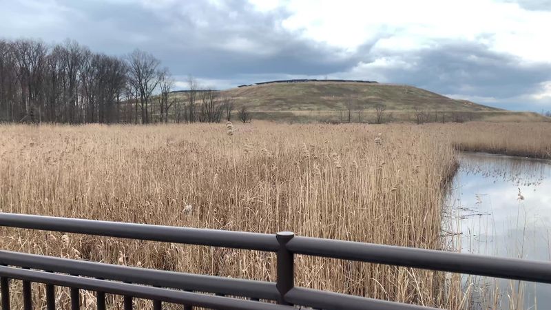 The Hidden Marshland Walk Tucked Behind Linden’s Industrial Edge