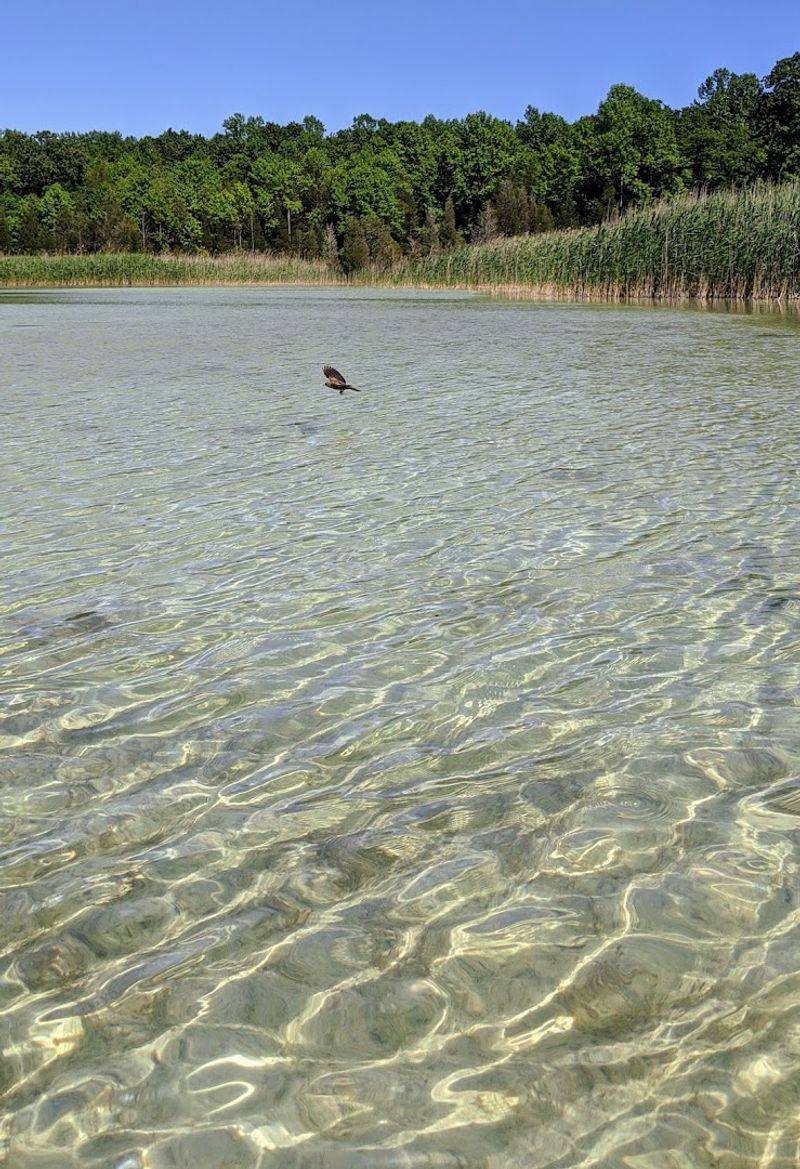 The Hidden Warren County Lake That Looks Too Clear To Be Real The Hidden Warren County Lake That Looks Too Clear To Be Real