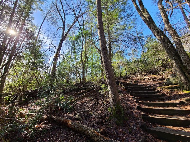 The Hike Is Only 1.5 Miles, But It Feels Like A Full Nature Escape The Hike Is Only 1.5 Miles, But It Feels Like A Full Nature Escape