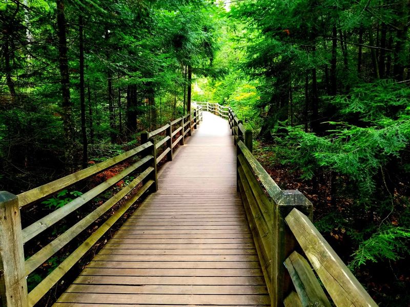 The Hiking Trails: From Easy Boardwalks to a Full 4.5-Mile Push