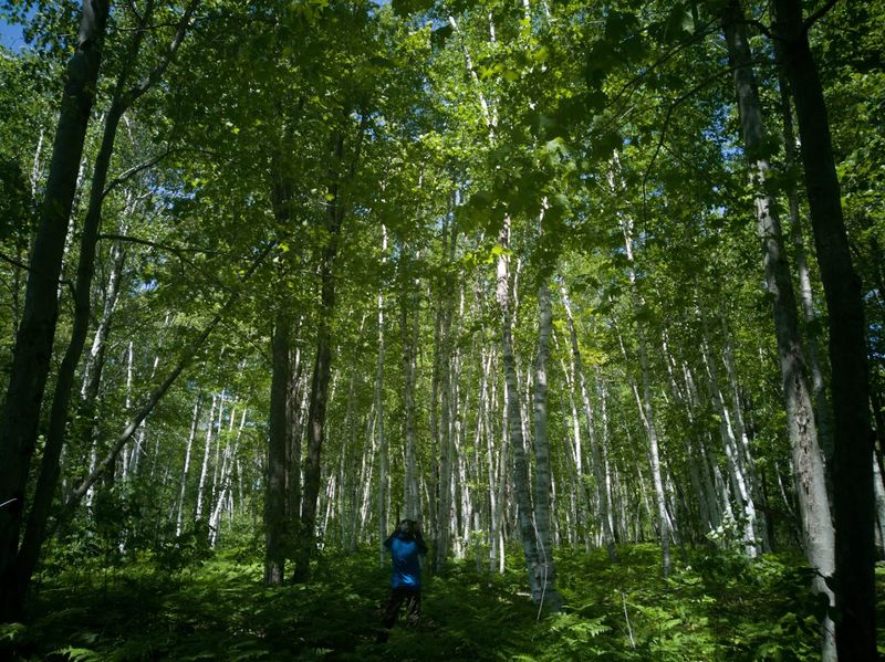 The Hiking Trails That Go Quiet Fast The Hiking Trails That Go Quiet Fast