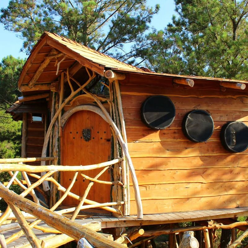The Hobbit's Nest (Paige) The Hobbit's Nest (Paige)