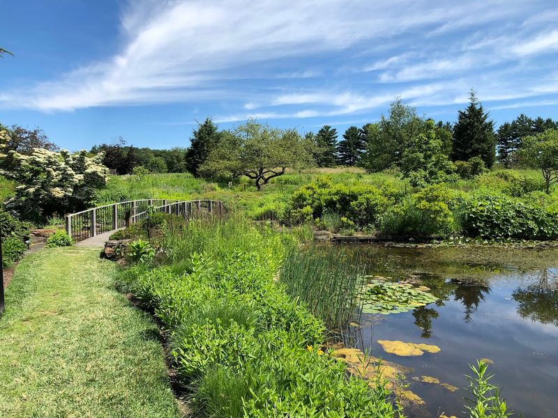 The Holden Arboretum