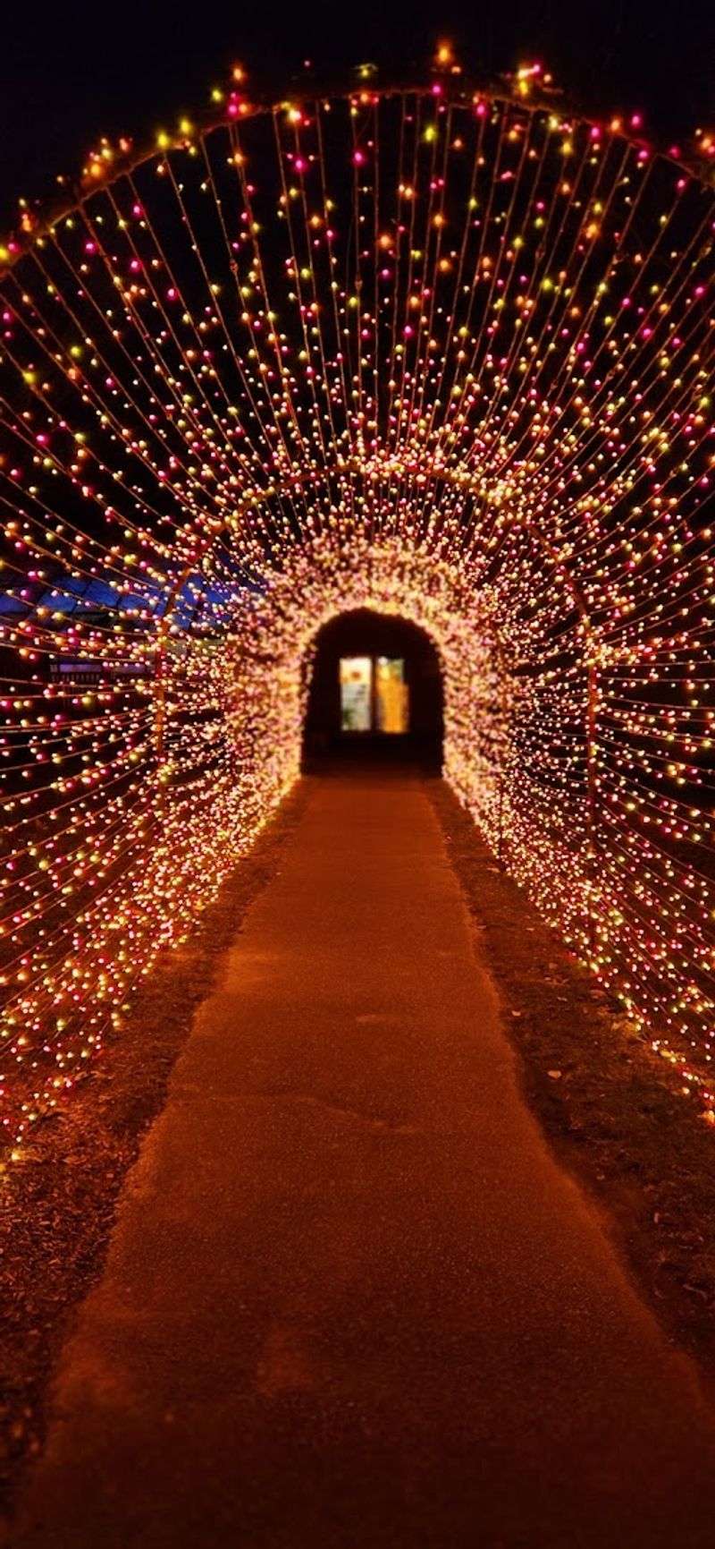 The Holiday Light Show That Sells Out Before You Remember to Buy Tickets