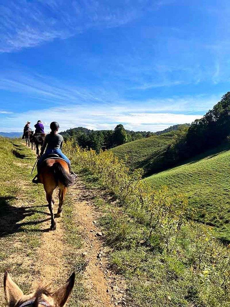 The Horseback Access Makes the Trip Memorable The Horseback Access Makes the Trip Memorable