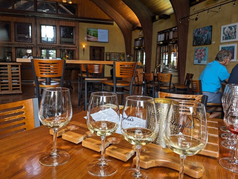 The Hospitality Story - Mostly Warm, With a Few Honest Caveats