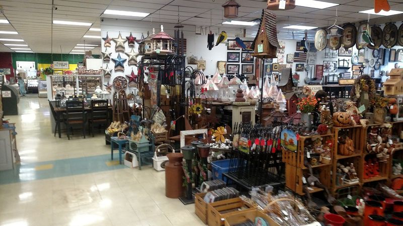 The Kind of Place Where You Never Know What You’ll Find The Kind of Place Where You Never Know What You’ll Find