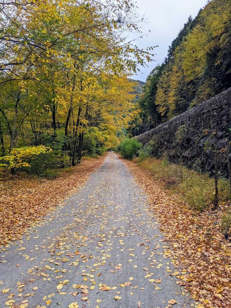 The Lehigh Gorge Trail Is the Star Attraction