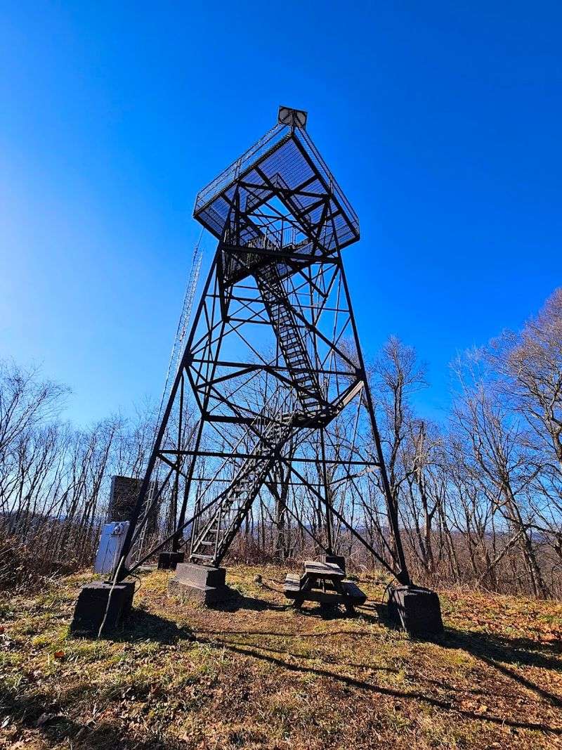 The Lookout Tower Hike Rewards You With A 360-Degree Payoff The Lookout Tower Hike Rewards You With A 360-Degree Payoff