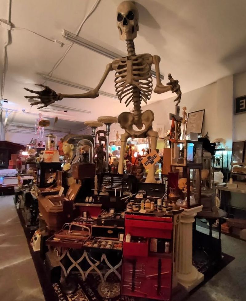 The Man Behind the Collection: Todd's Lifelong Obsession