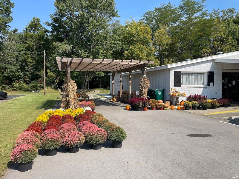 The Market Has That Classic Rural Tennessee Charm