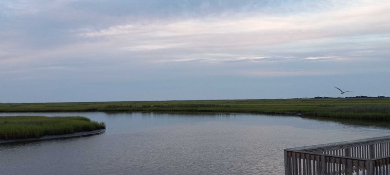 The Marsh Views Make You Want to Stay Awhile The Marsh Views Make You Want to Stay Awhile