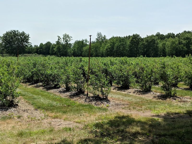 The Michigan Roots And Family Pride Behind This Operation